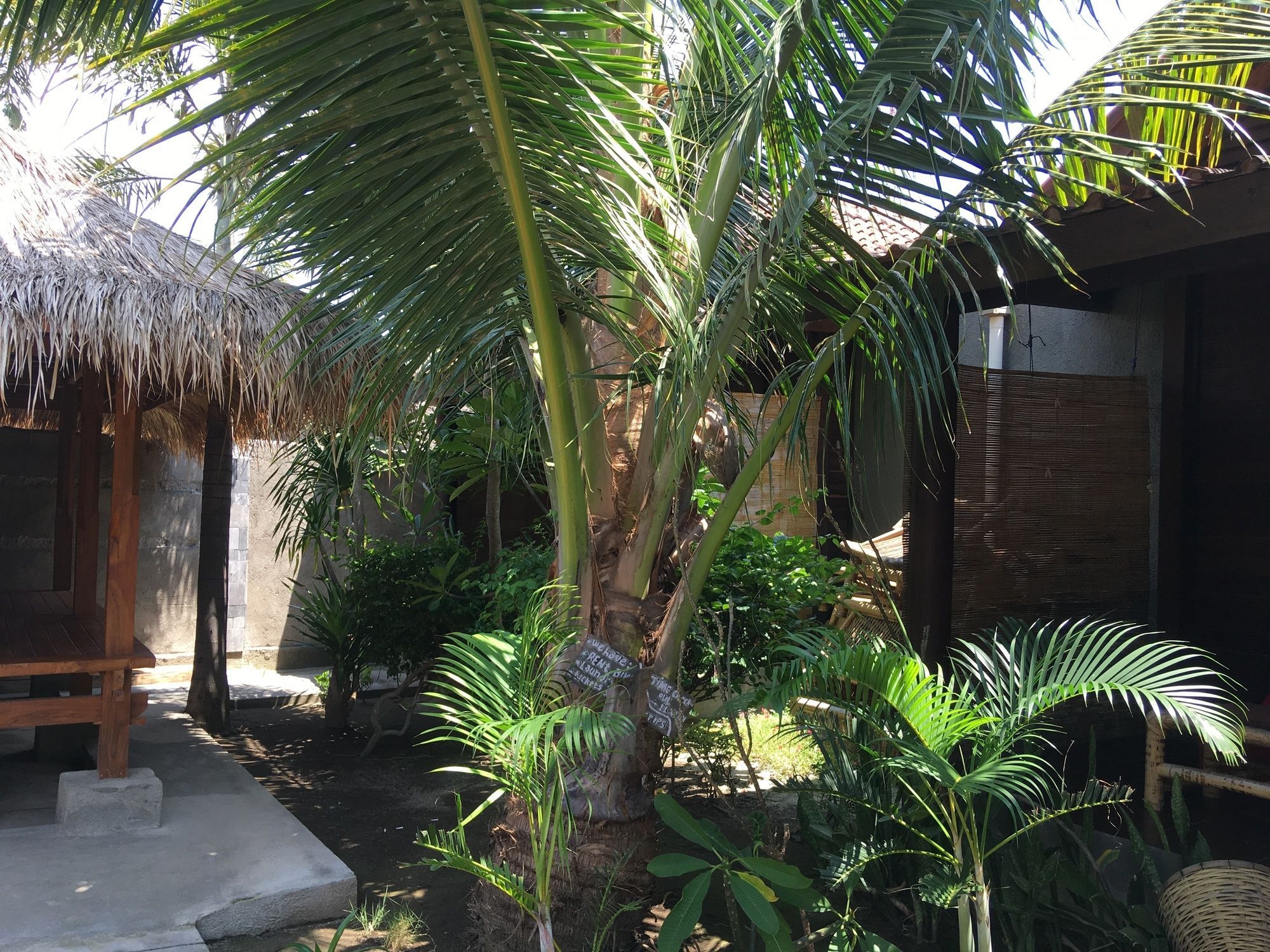 Alexyane Paradise Bungalow Gili Trawangan Bagian luar foto